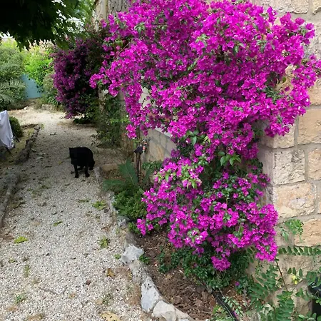 Classe 3 Etoiles 10 Mn Cannes